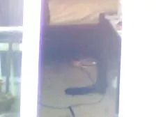 0 زوجة شابة على حقيقية محلية صور سكس عرب سكس الصنع